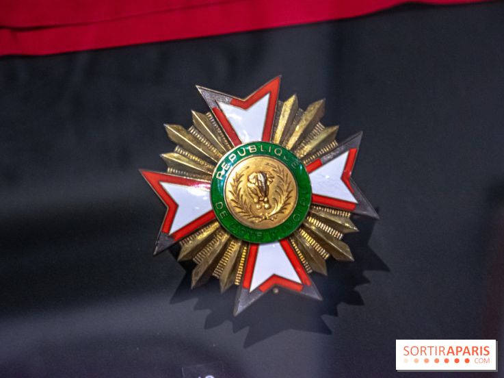 Exposition Le Chevalier du Ciel au Musée de l'Ordre de la Libération