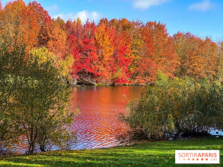 Bassin - étang de la Boissière à Elancourt