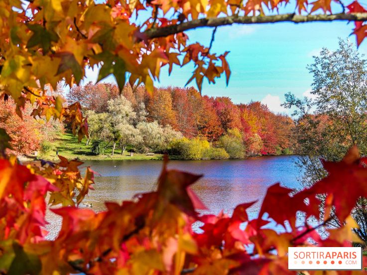 Bassin - étang de la Boissière à Elancourt