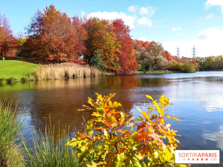 Bassin - étang de la Boissière à Elancourt