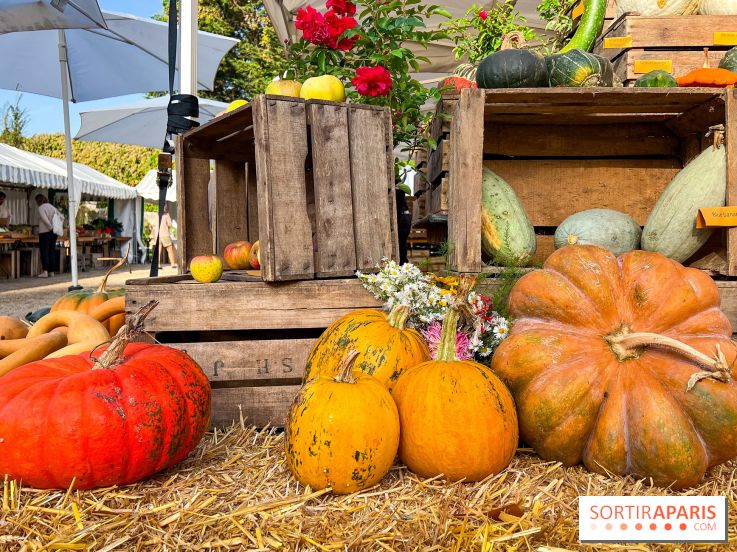 Automne au Potager du Roi - Citrouilles - Halloween