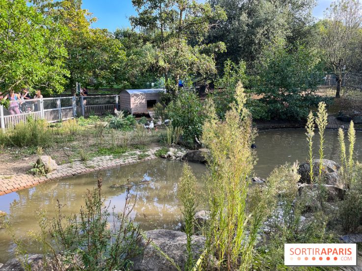 La ferme pédagogique du parc des Chanteraines - image00038