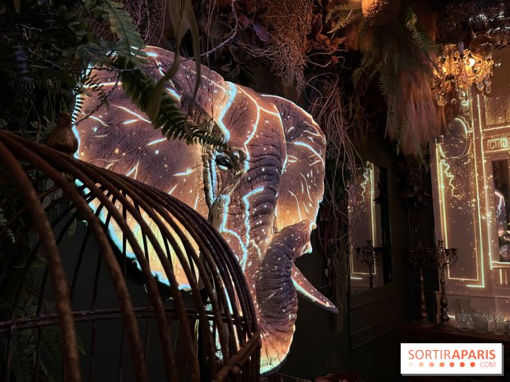 Jungle Palace, le nouveau restaurant immersif de Ephemera à Paris