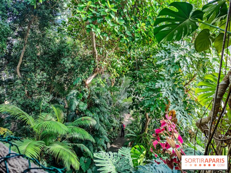 Automne Tropical 2023