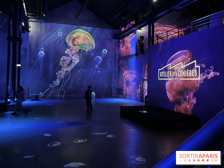 Océans, l'Odyssée Immersive à l'Atelier des Lumières - IMG 6095