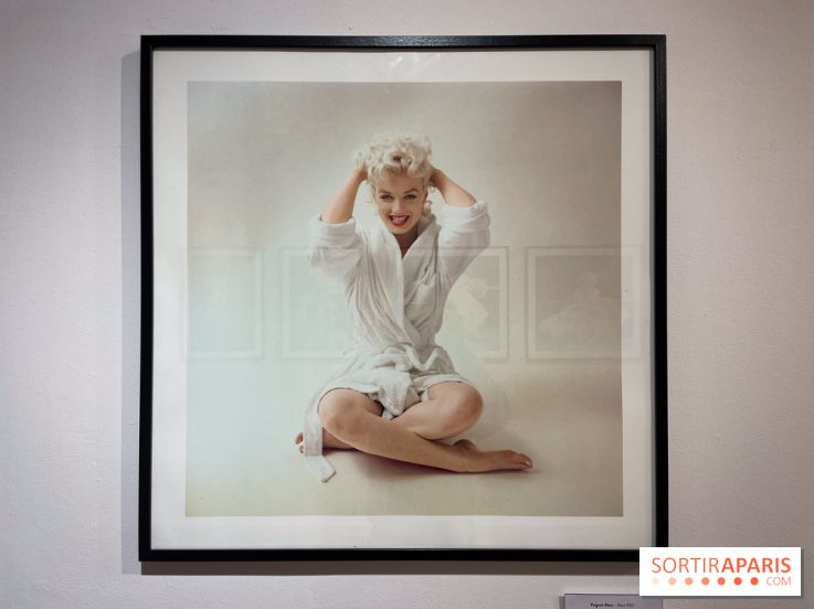 Expérience Monroe