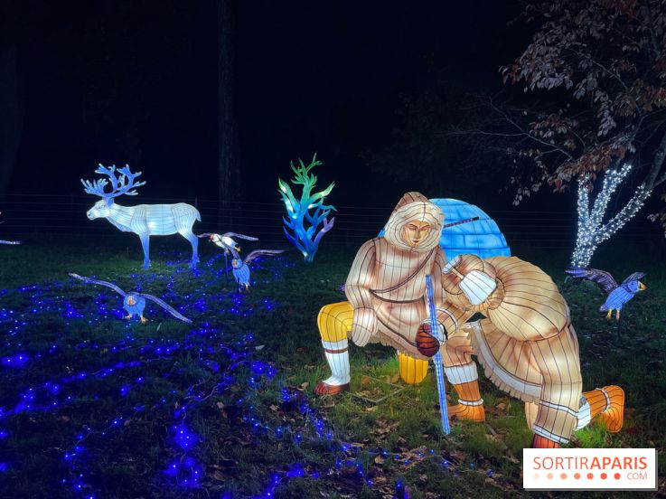 Thoiry Lumières Sauvages 2023 - 2024 - IMG 6316