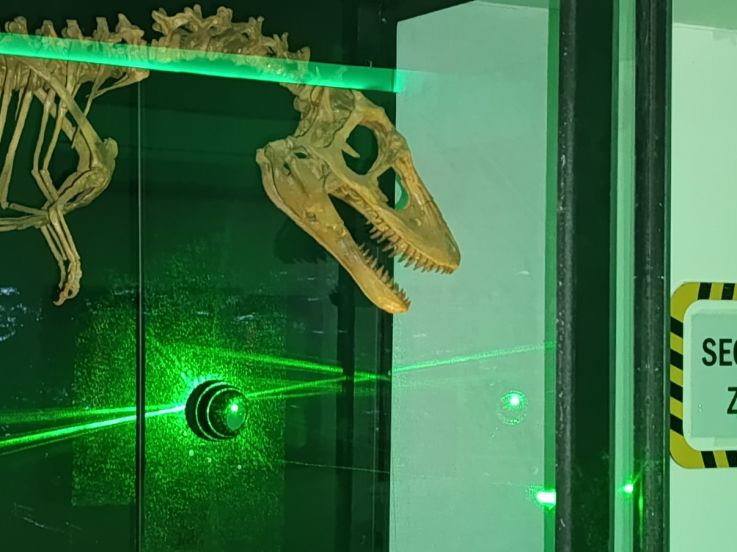 Campagne #31450 - IMG 20250212 152439