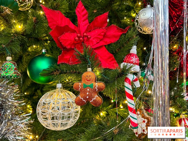 Les vitrines et décors de Noël 2023 du Bon Marché Rive Gauche