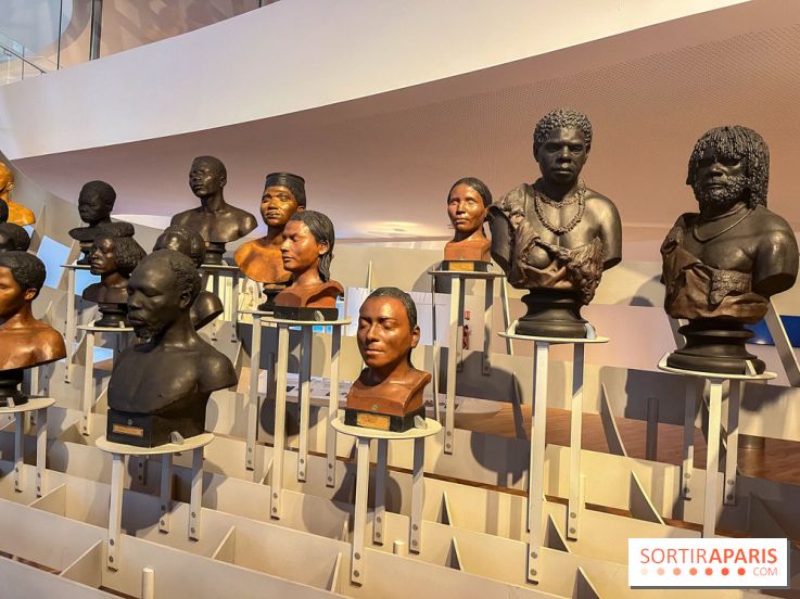 Le musée de l'Homme - collections permanentes