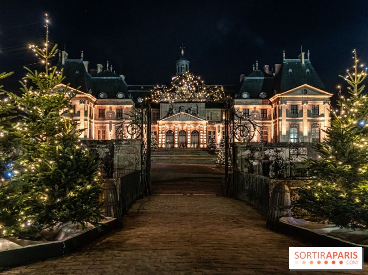 Le Grand Noël au Château de Vaux le Vicomte 2023 - photo -  A7C8416