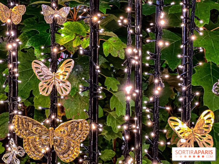 Les illuminations de Noël 2023 de l'Avenue Montaigne - cérémonie et décors féériques