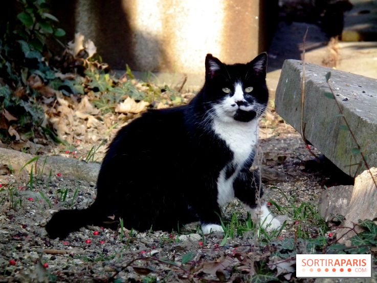 Le Père Lachaise, le cimetière le plus mythique de Paris et ses tombes de personnalités célèbres