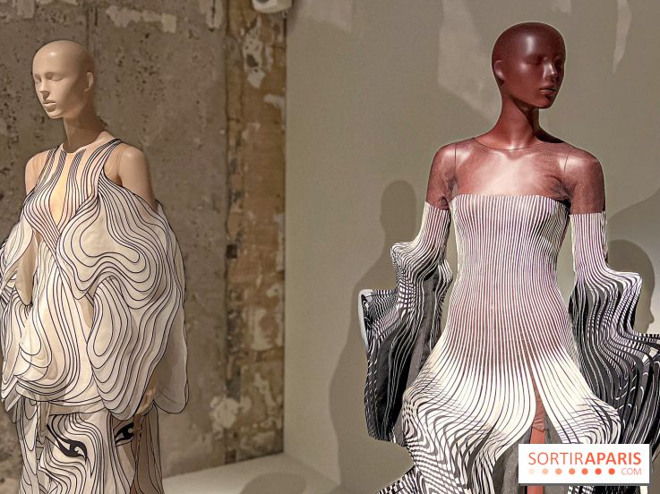 L’exposition retrospective de la créatrice de mode Iris Van Herpen au Musée des Arts Décoratifs - image00025