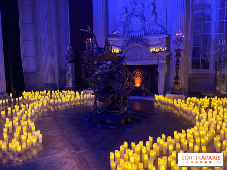 La Belle et la Bête, le spectacle au château de Maisons-Laffitte - nos photos