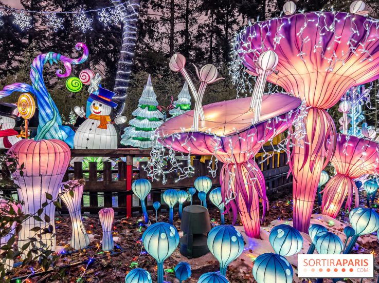 Noël au Parc Astérix 2023, sentier de lumières et patinoire - IMG 4996