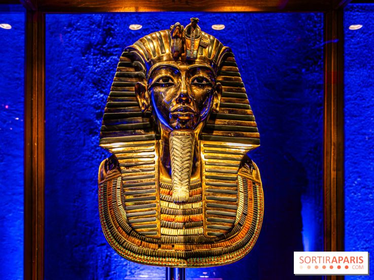 Toutankhamon, l'expérience immersive Pharaonique - les photos -  A7C4328
