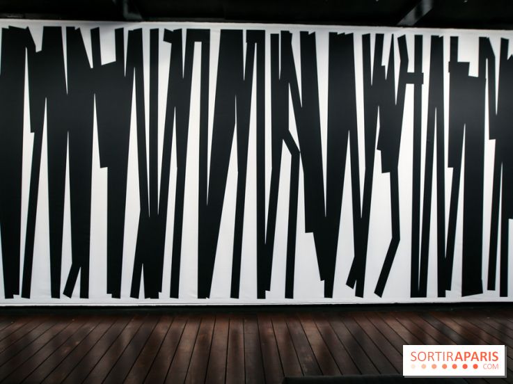 Tania Mouraud, nos photos de son expo à Fluctuart - IMG 2704