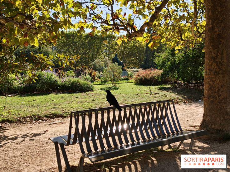 Visuel Paris 5e - corneille corbeau jardin des plantes