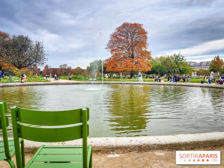 Visuel Paris 1er - jardin des Tuileries automne