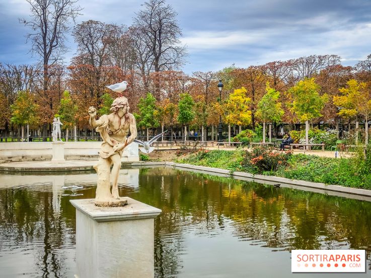 Visuel Paris 1er - jardin des Tuileries automne 