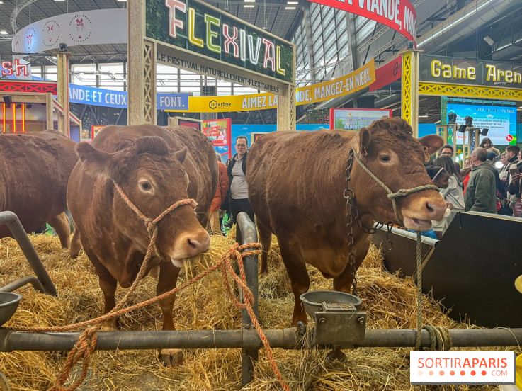 Salon de l'agriculture 2024