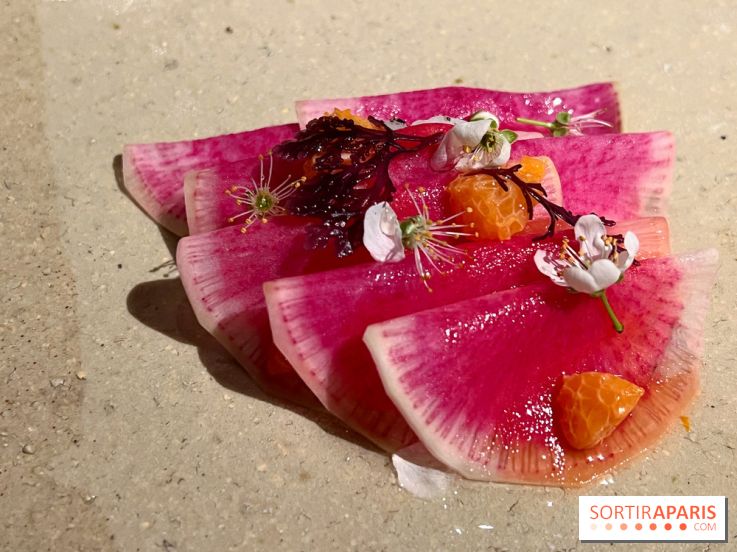 Datil - Radis, Saint-Jacques, ail