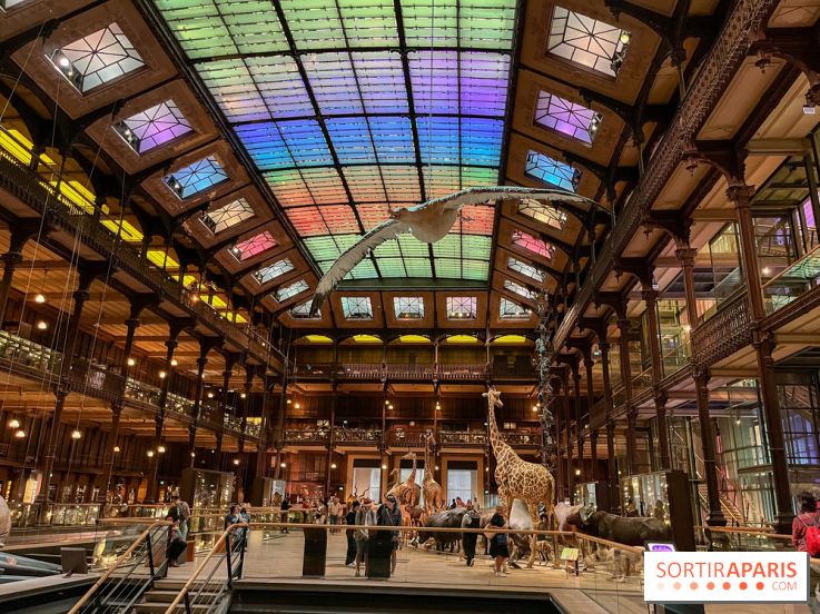 Grande Galerie de l'évolution- visuels 2024