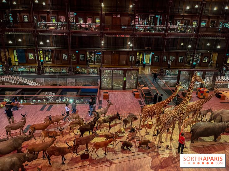 Grande Galerie de l'évolution- visuels 2024 - image00028