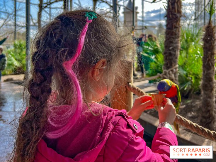 Visuels enfants, attractions, parc, Jardin d'Acclimatation, animaux, zoo - image00050