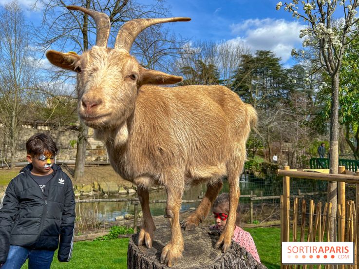 Visuels enfants, attractions, parc, Jardin d'Acclimatation, animaux, zoo - image00052