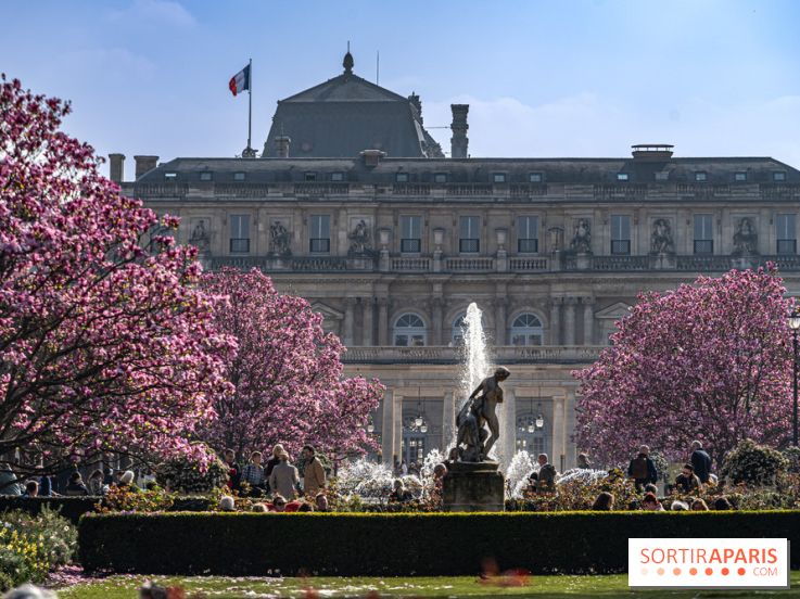 Les magnolias du Jardin du Palais Royal  - printemps - visuel Paris