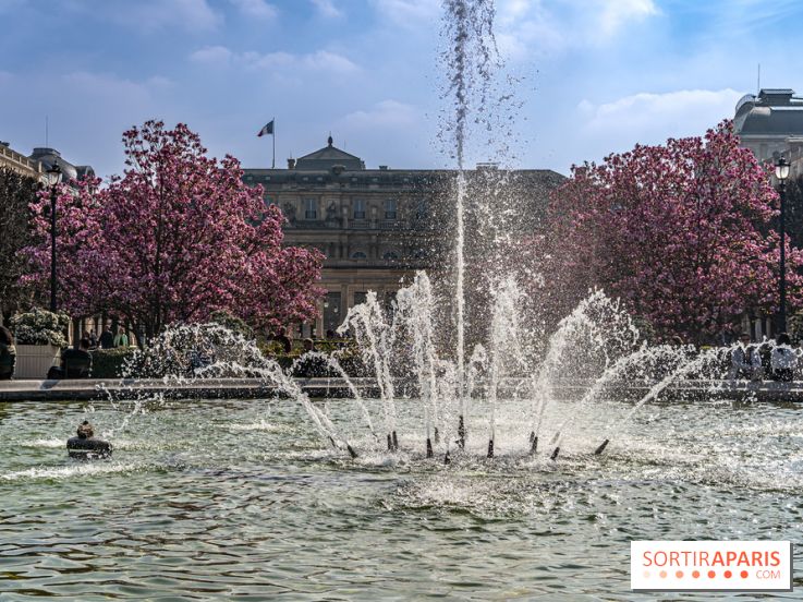 Les magnolias du Jardin du Palais Royal  - printemps - visuel Paris - fontaine - chaleur - beau temps