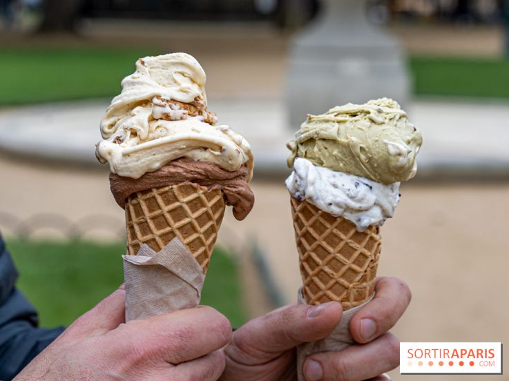 Brigat' Gelato - la glacerie Place des Vosges -  A7C9929