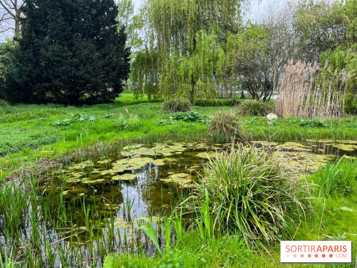 Arboretum de Paris - nos photos - image00039