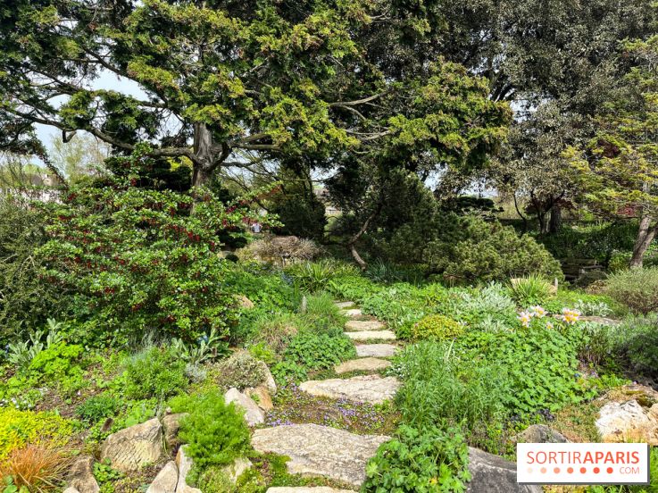 Jardin de l'Ecole du Breuil - nos photos