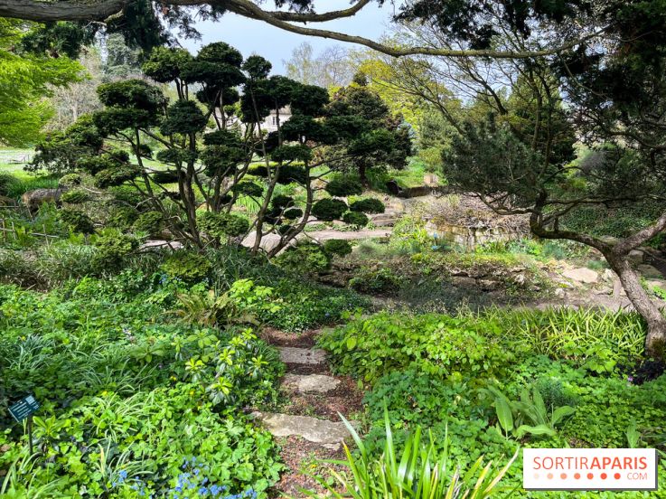 Jardin de l'Ecole du Breuil - nos photos - image00021