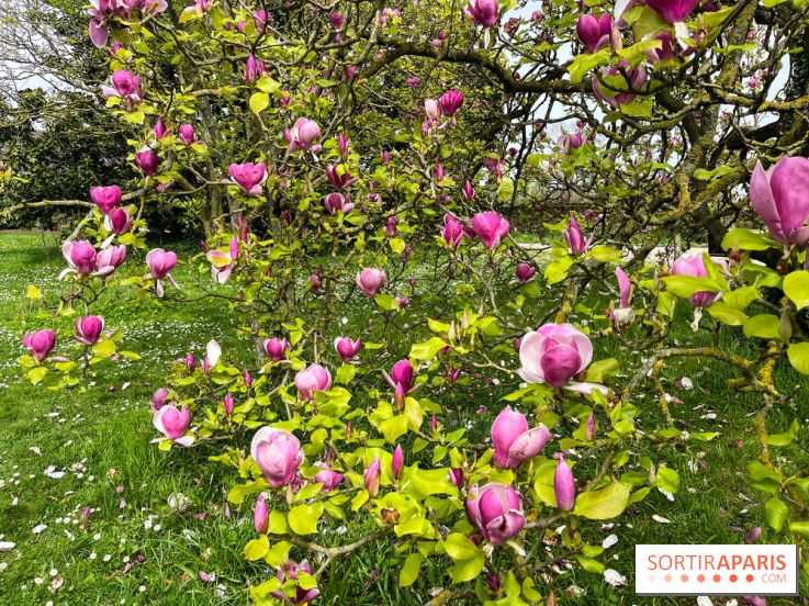 Jardin de l'Ecole du Breuil - nos photos