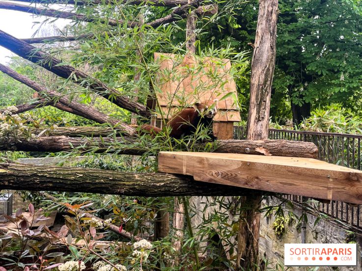 Ménagerie du Jardin des Plantes 2024 - nos photos - image00012