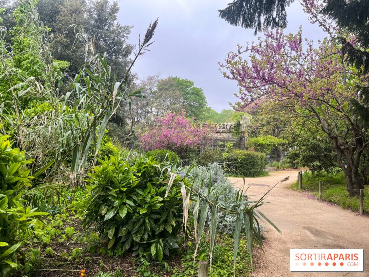 Ménagerie du Jardin des Plantes 2024 - nos photos - image00012