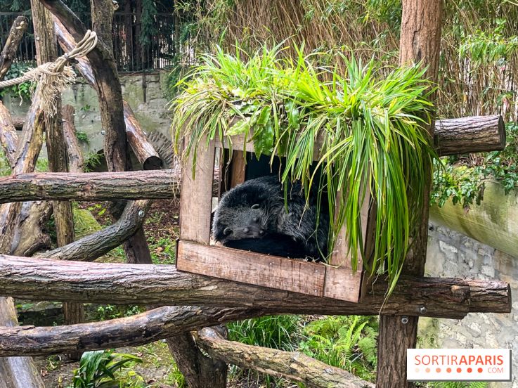 Ménagerie du Jardin des Plantes 2024 - nos photos - image00005