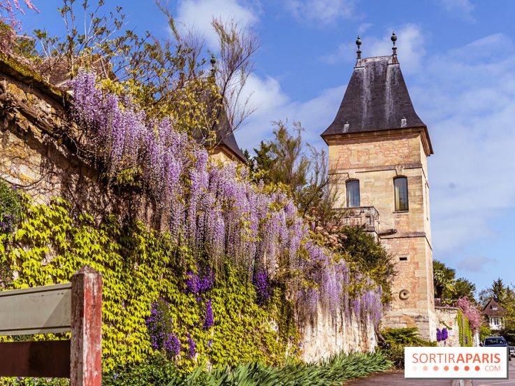 Village de Medan dans les Yvelines -  château de Medan - glycine
