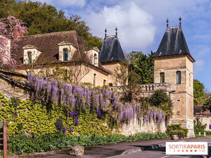 Village de Medan dans les Yvelines -  château de Medan - glycine