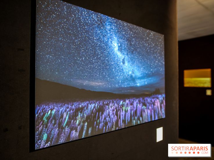Reflets de la nature, nos photos de l'exposition