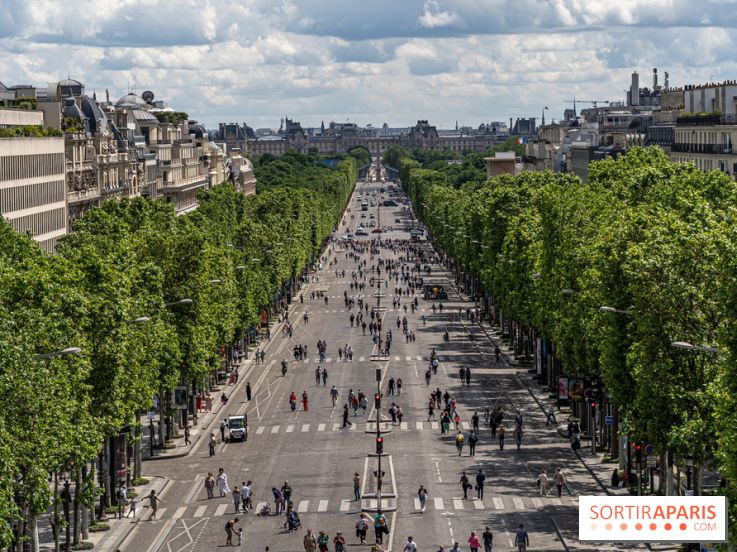 Grand pique nique des Champs-Élysées - photos