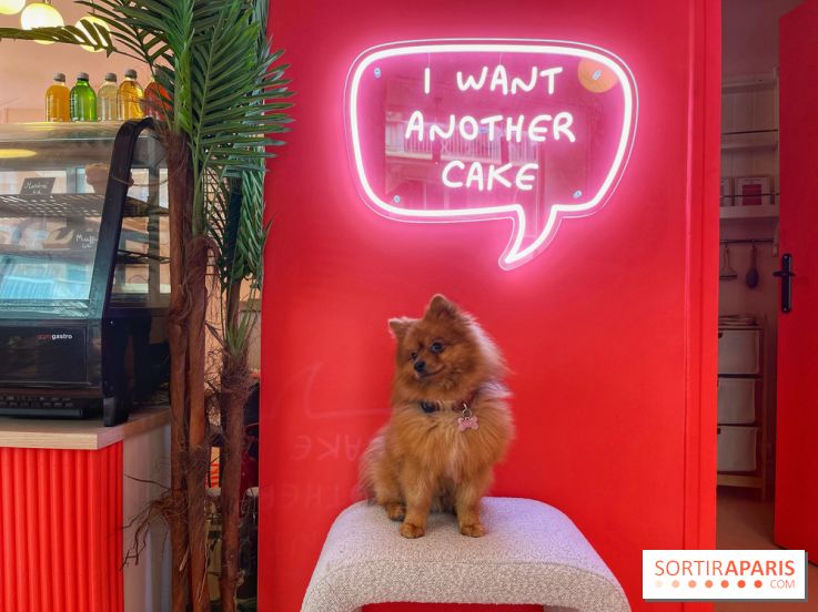 Casa del Doggo - IMG 1642