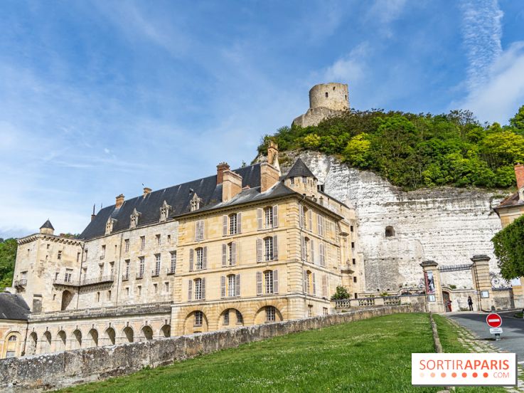 Le Château de la Roche Guyon, le château troglodyte dans le Val-d'Oise - 95 -  vue façade