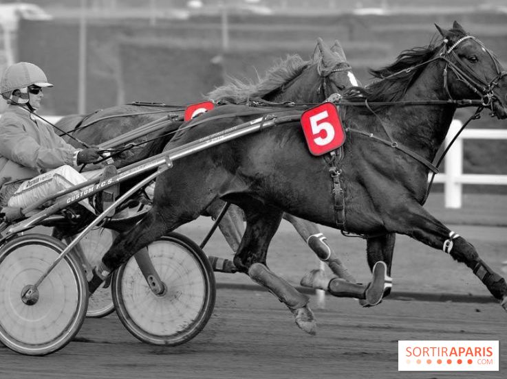 Les Courses spectacle de l'Hippodrome Paris-Vincennes