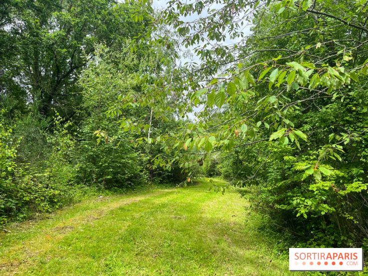 Arboretum de la Roche-Guyon - nos photos - image00002
