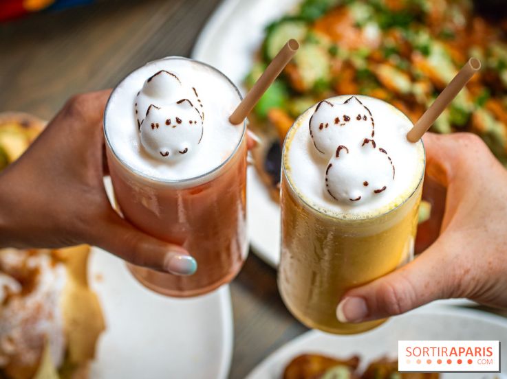 Brunch indien à Paris par Baranaan et Pingwoo -  lassis rose et mangue